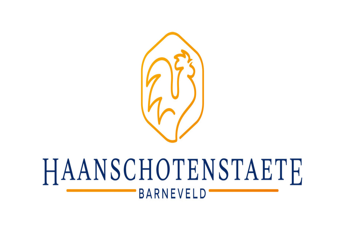 Haanschotenstaete (afbeelding 9)