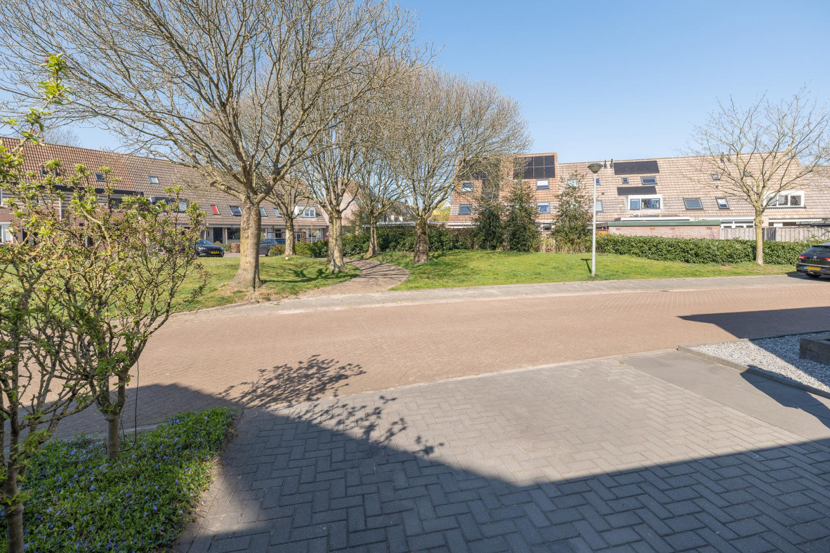 Wijnakker 5 (afbeelding 52)