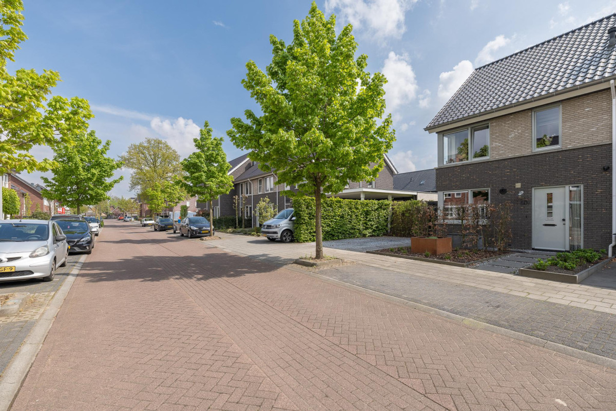 De Wiek 50 – A (afbeelding 50)