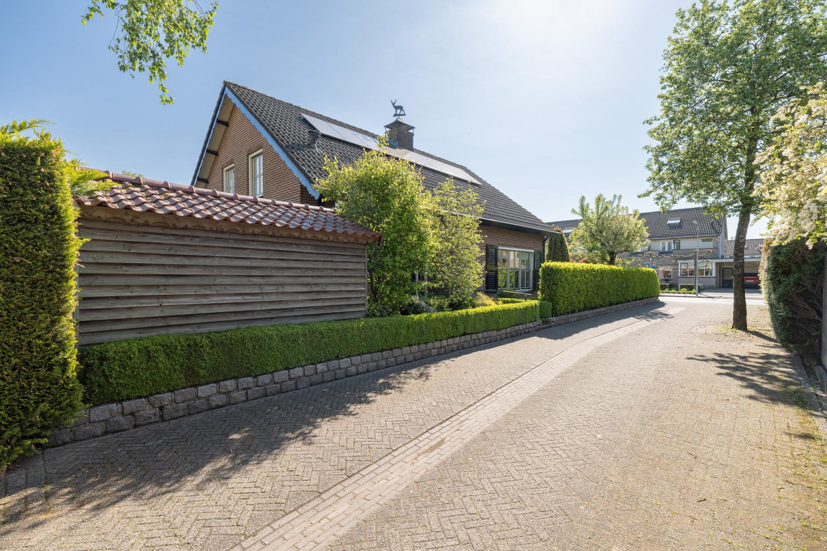 Hertespoor 26 (afbeelding 61)