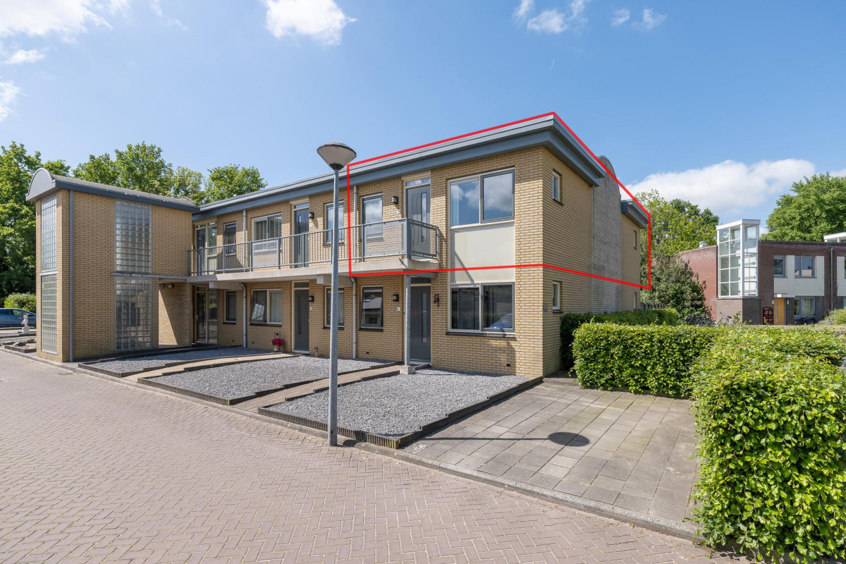 Lupineveld 12 (afbeelding 2)