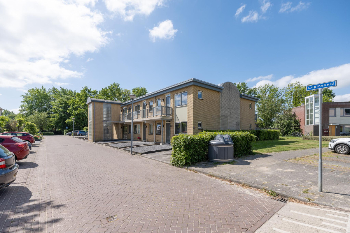 Lupineveld 12 (afbeelding 35)