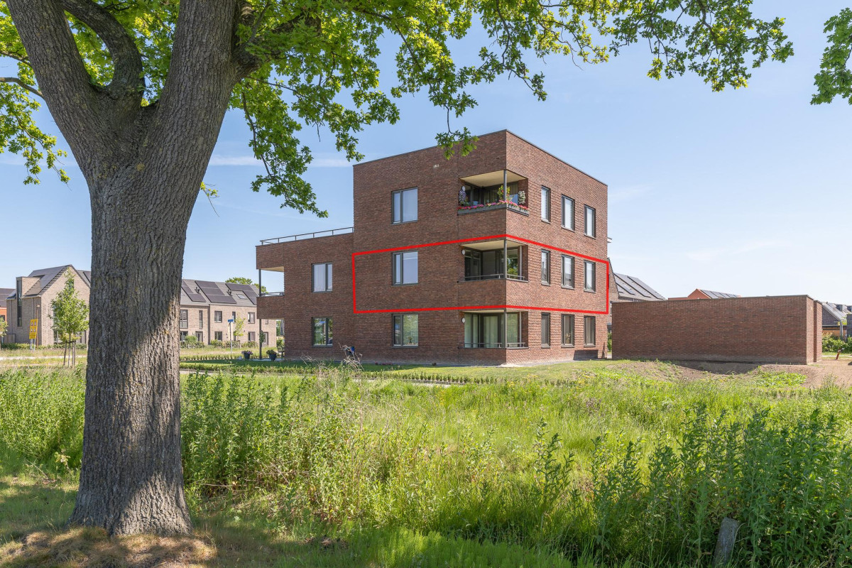 C. Lofstraat 46 (afbeelding 1)
