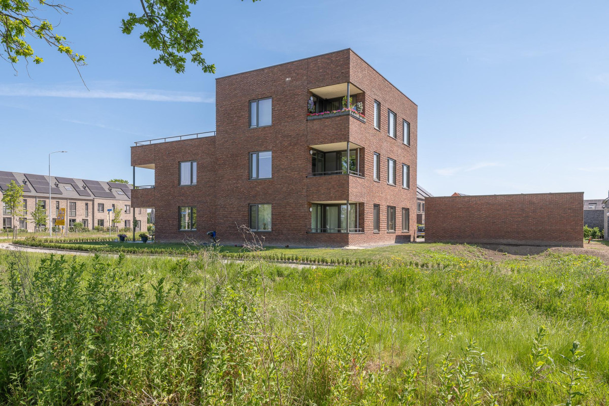 C. Lofstraat 46 (afbeelding 43)