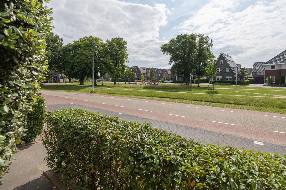 Bankivalaan 31 (afbeelding 45)