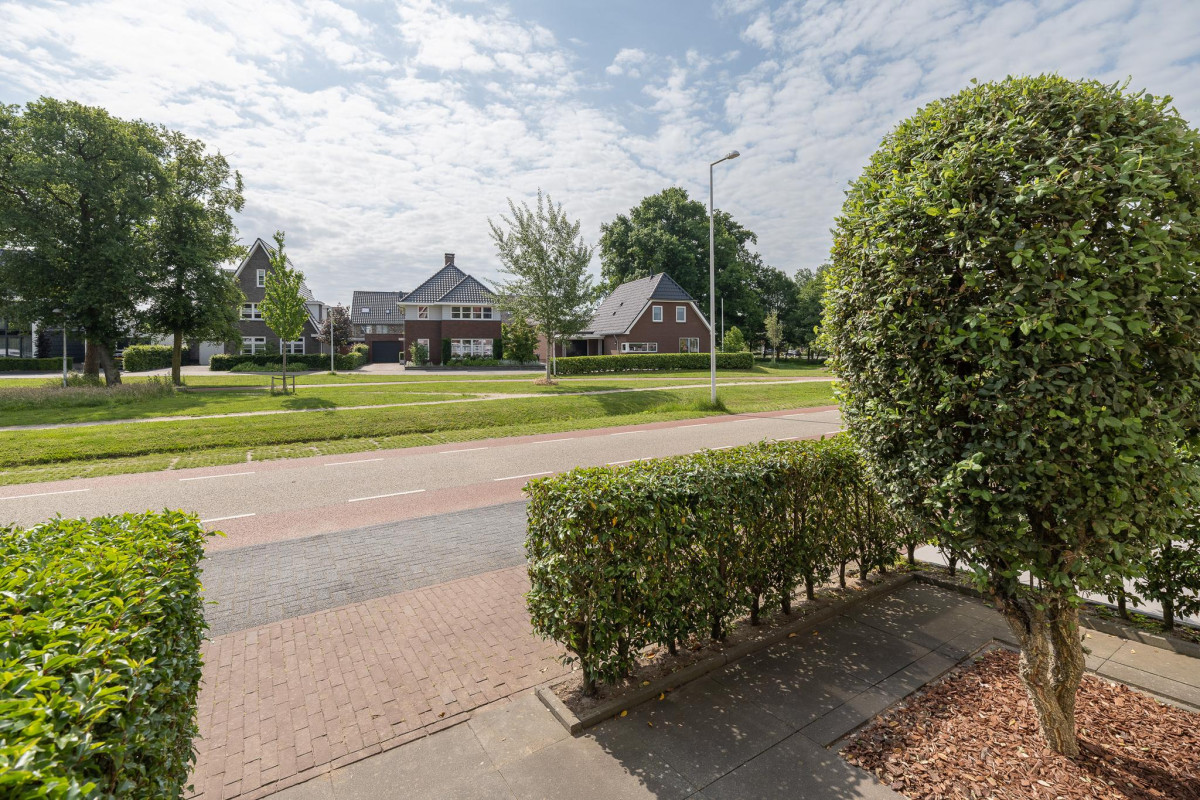 Bankivalaan 31 (afbeelding 46)