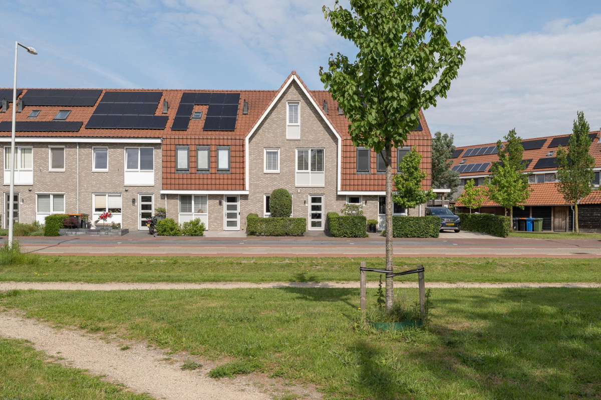 Bankivalaan 31 (afbeelding 50)