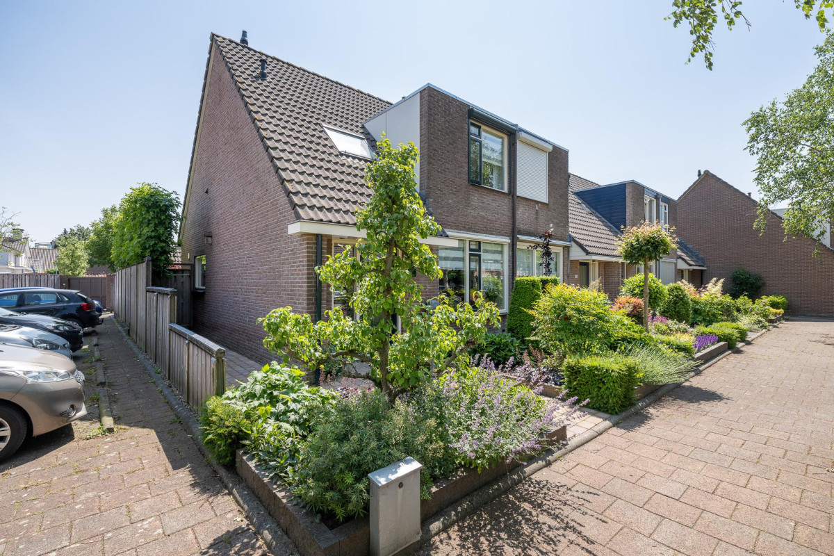 De Cotelaer 127 (afbeelding 37)