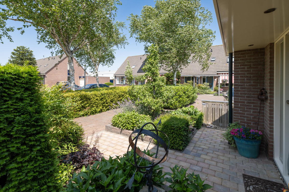 De Cotelaer 127 (afbeelding 38)