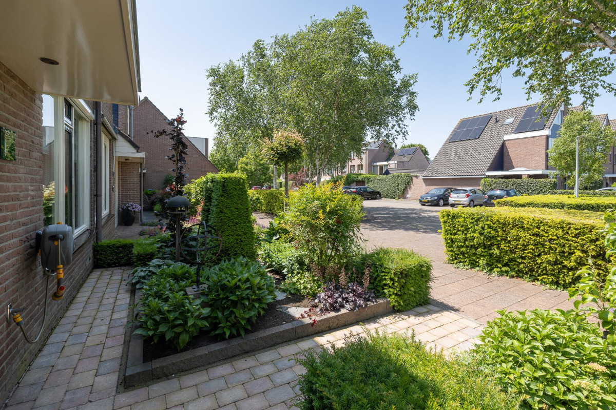 De Cotelaer 127 (afbeelding 39)