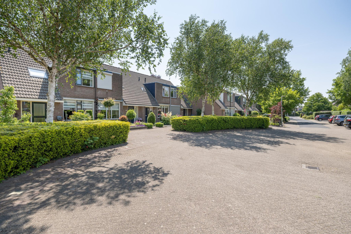 De Cotelaer 127 (afbeelding 41)