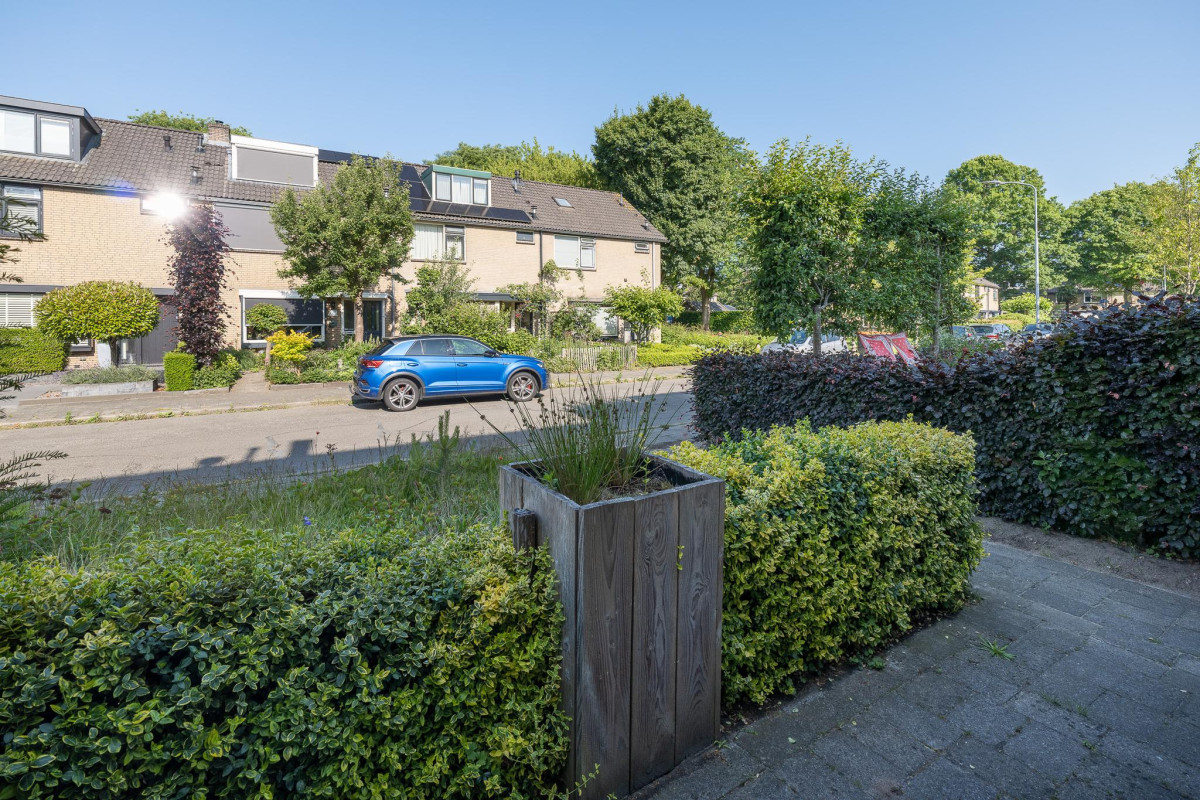 De Steenkamp 111 (afbeelding 42)