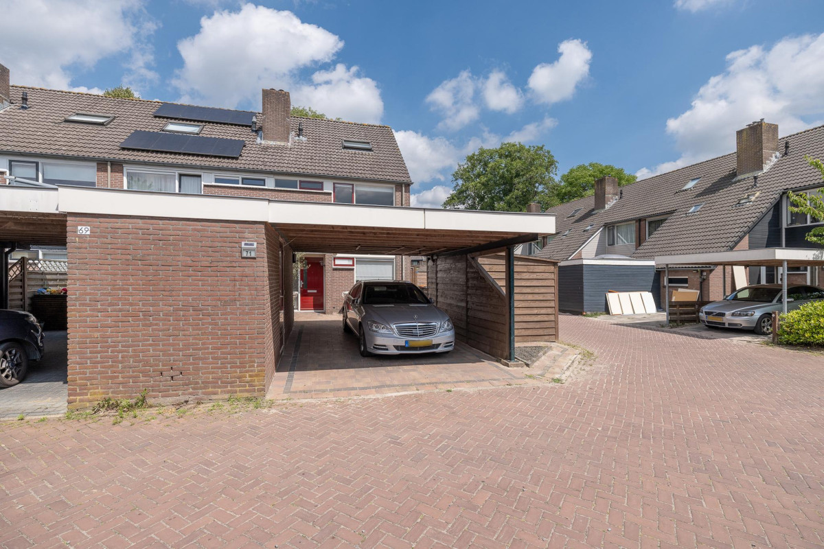 Goudenstein 71 (afbeelding 41)