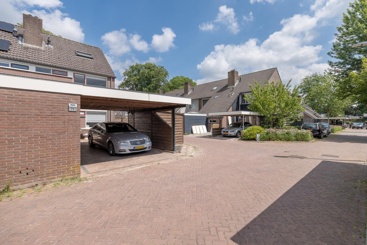 Goudenstein 71 (afbeelding 43)