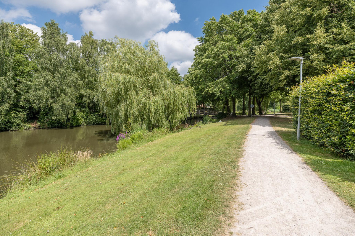 Goudenstein 71 (afbeelding 46)