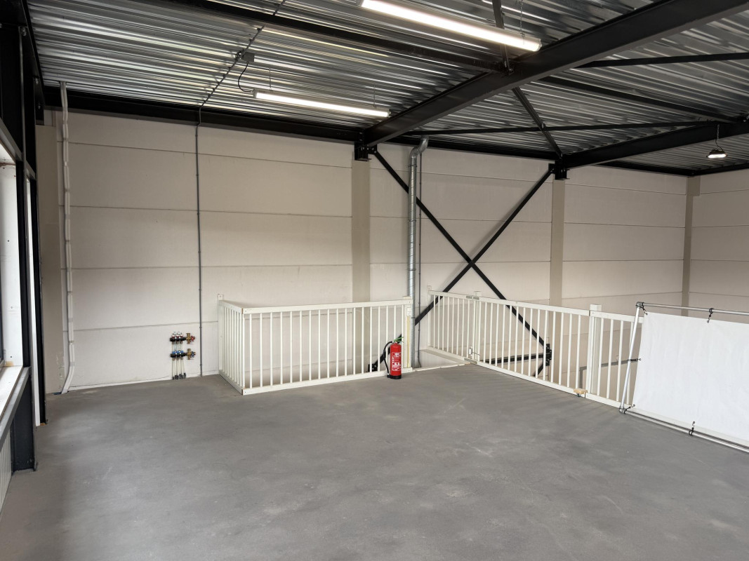 De Driest 4 (afbeelding 11)