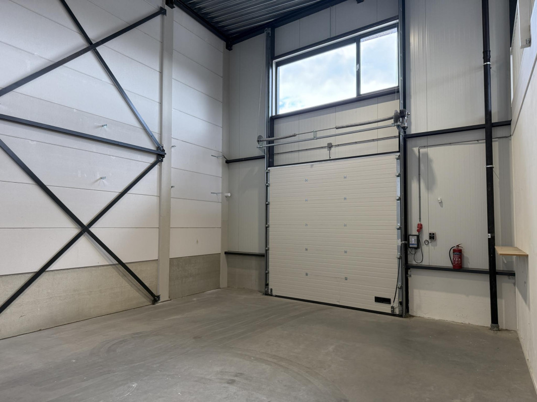 De Driest 4 (afbeelding 4)