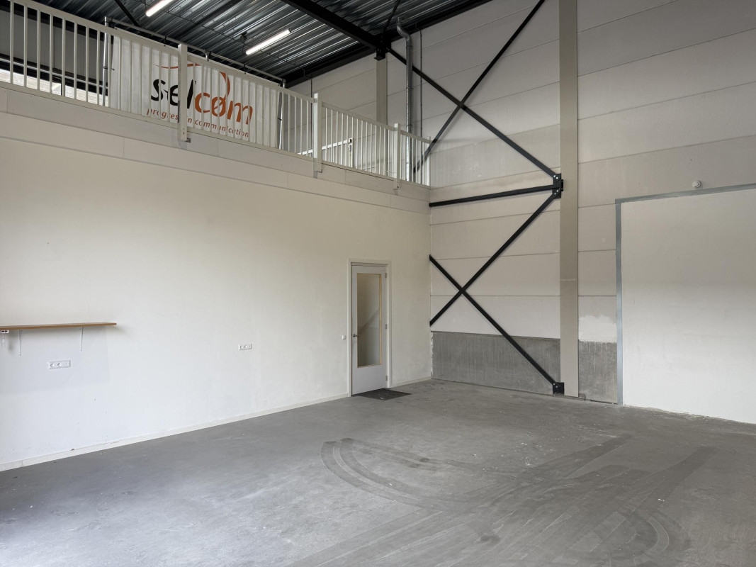 De Driest 4 (afbeelding 5)