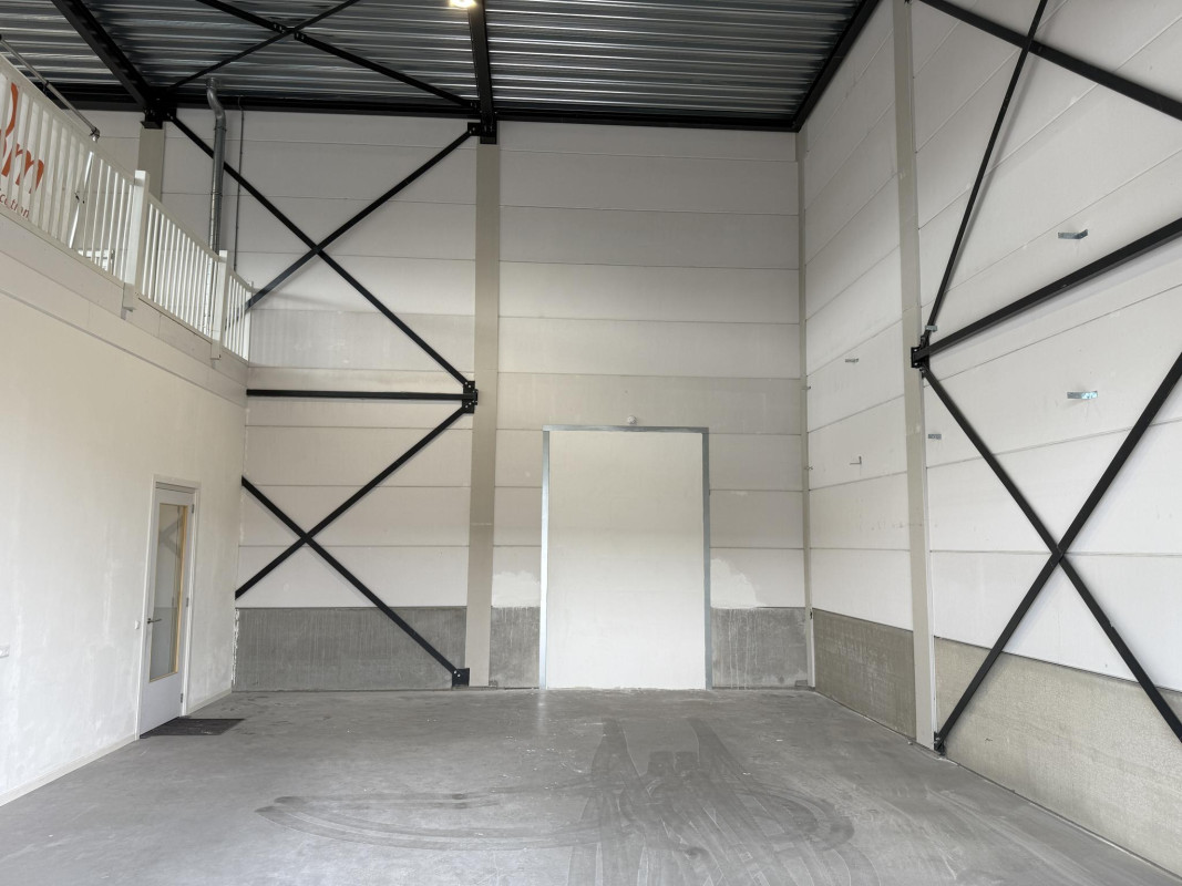 De Driest 4 (afbeelding 6)