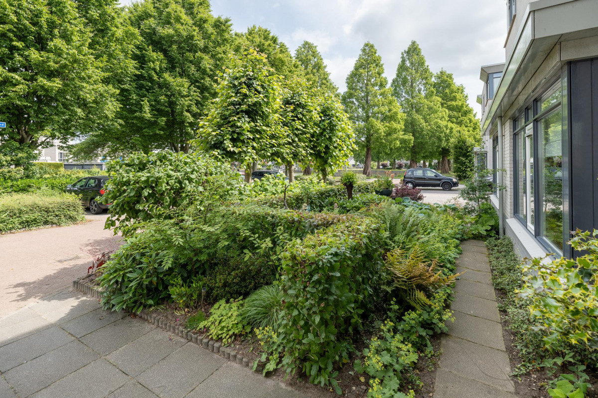 Tabaksland 57 (afbeelding 45)