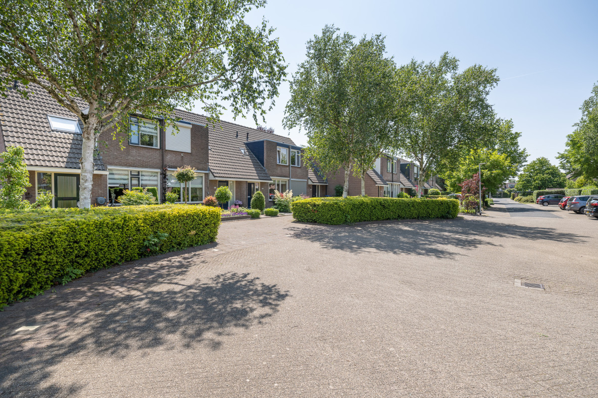 De Cotelaer 127 (afbeelding 41)