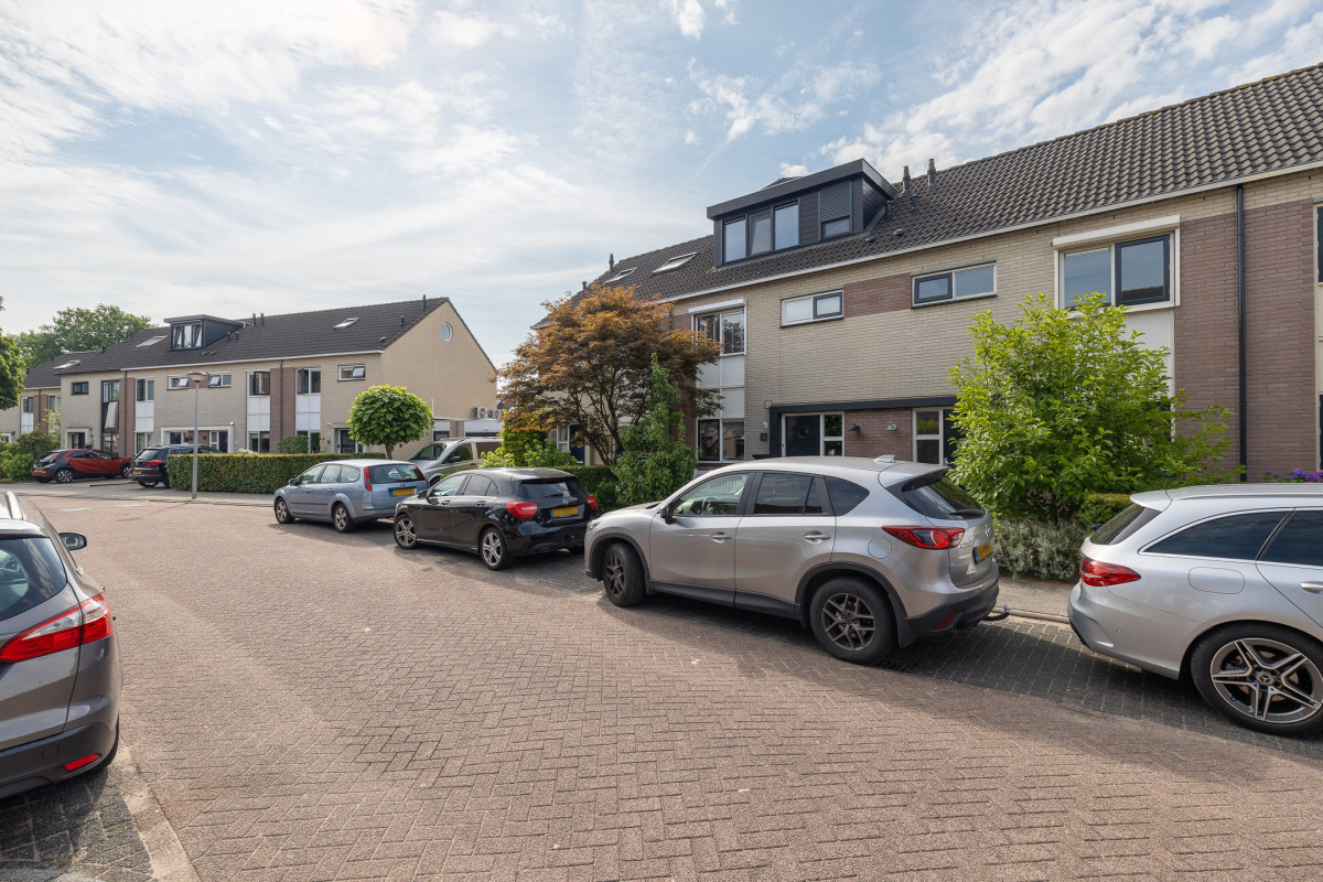Bijenveld 4 (afbeelding 45)