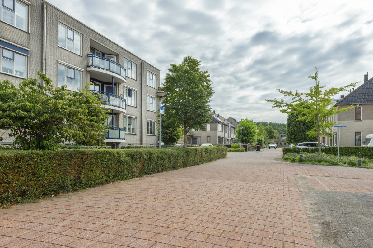 Boekweitakker 26 (afbeelding 2)