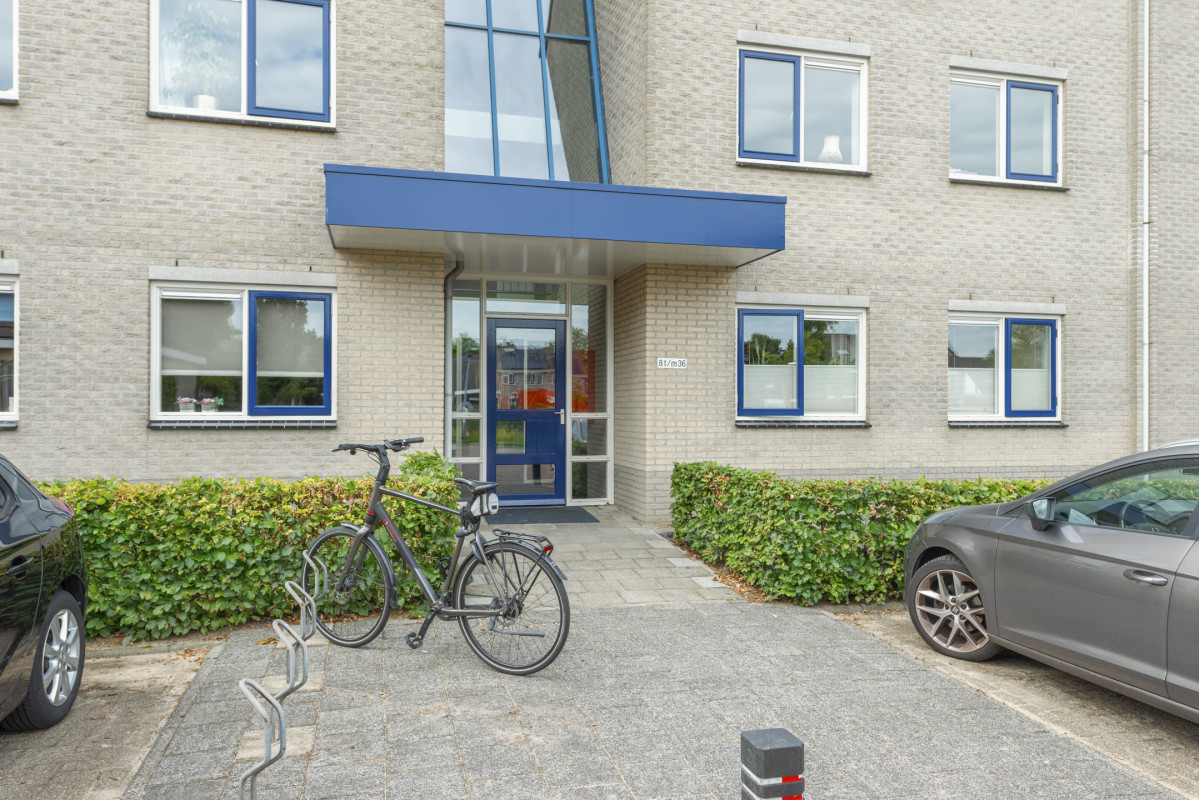 Boekweitakker 26 (afbeelding 3)