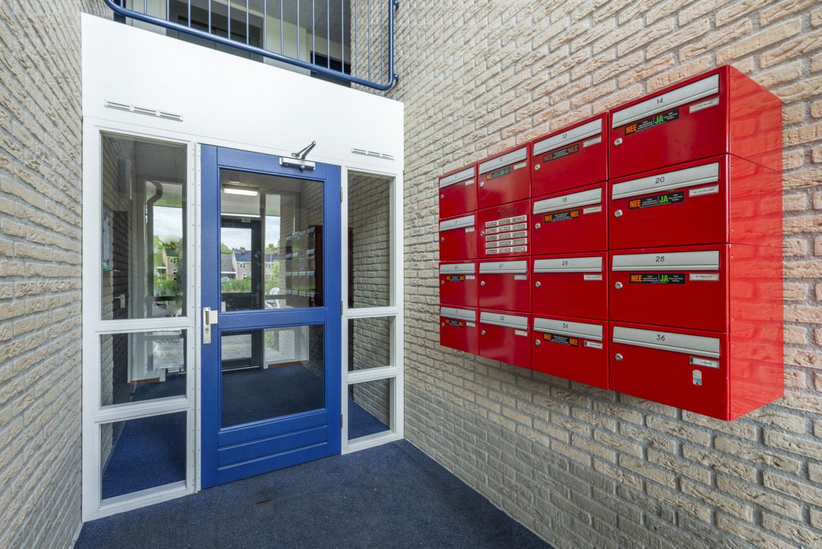 Boekweitakker 26 (afbeelding 4)