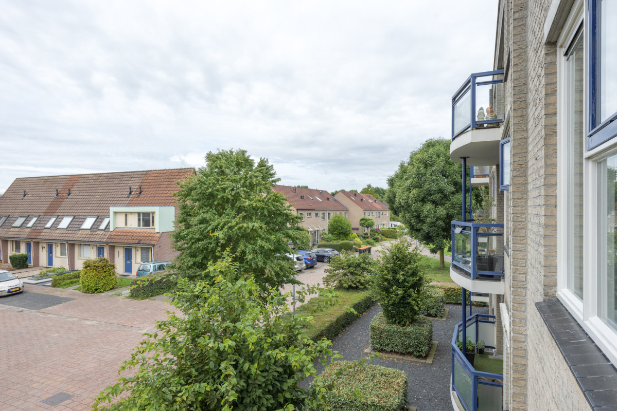 Boekweitakker 26 (afbeelding 36)