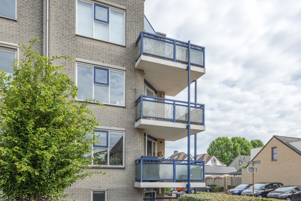 Boekweitakker 26 (afbeelding 37)