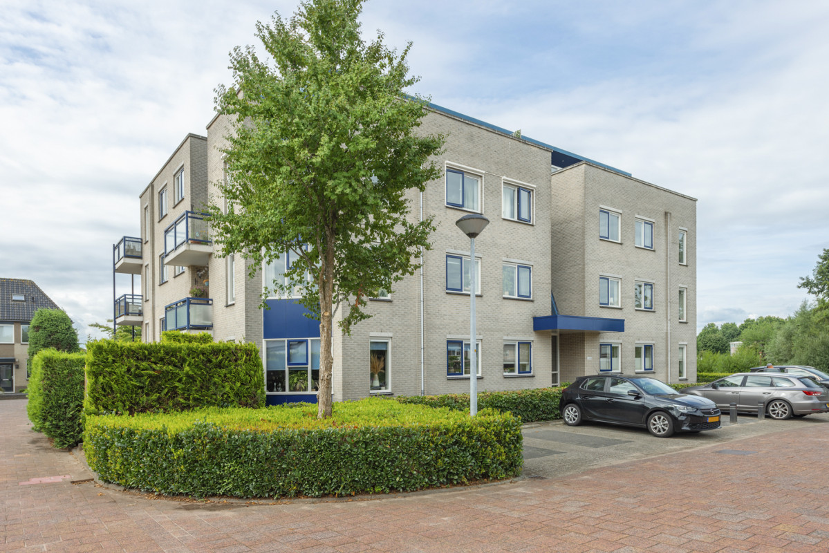 Boekweitakker 26 (afbeelding 39)