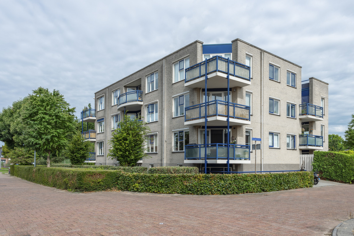 Boekweitakker 26 (afbeelding 40)