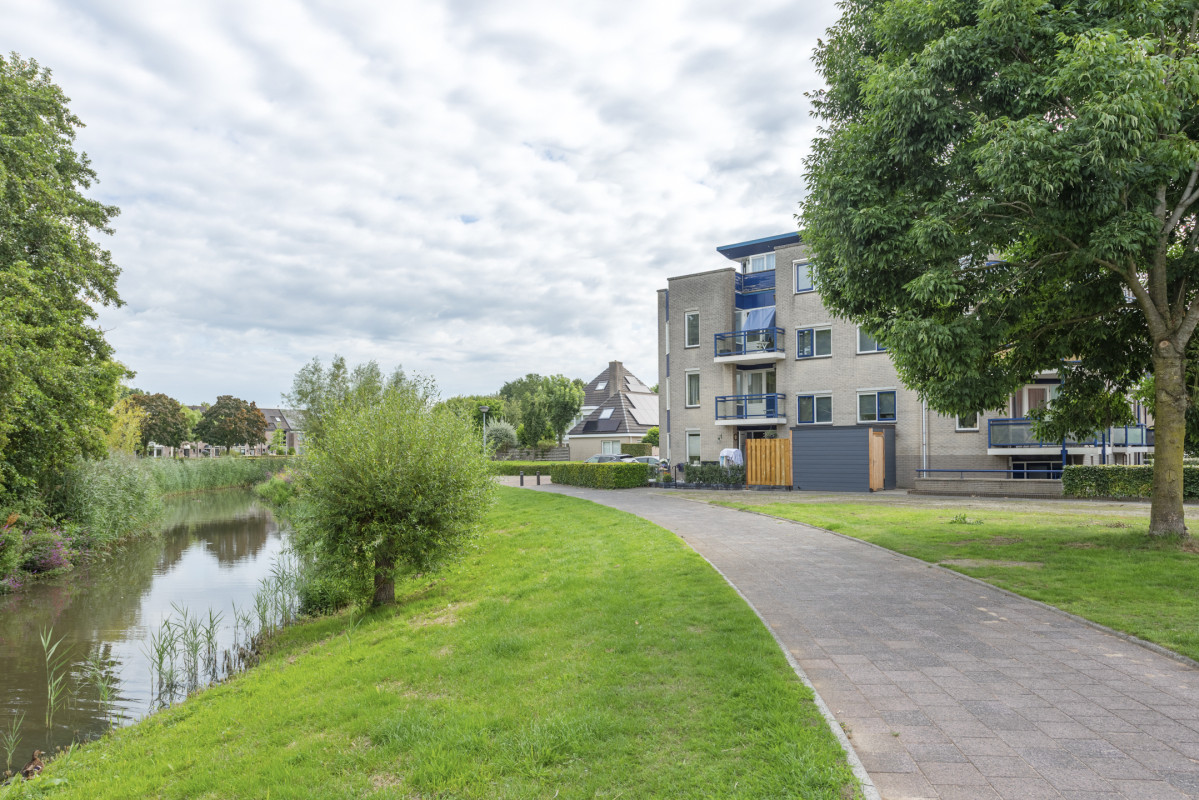 Boekweitakker 26 (afbeelding 41)