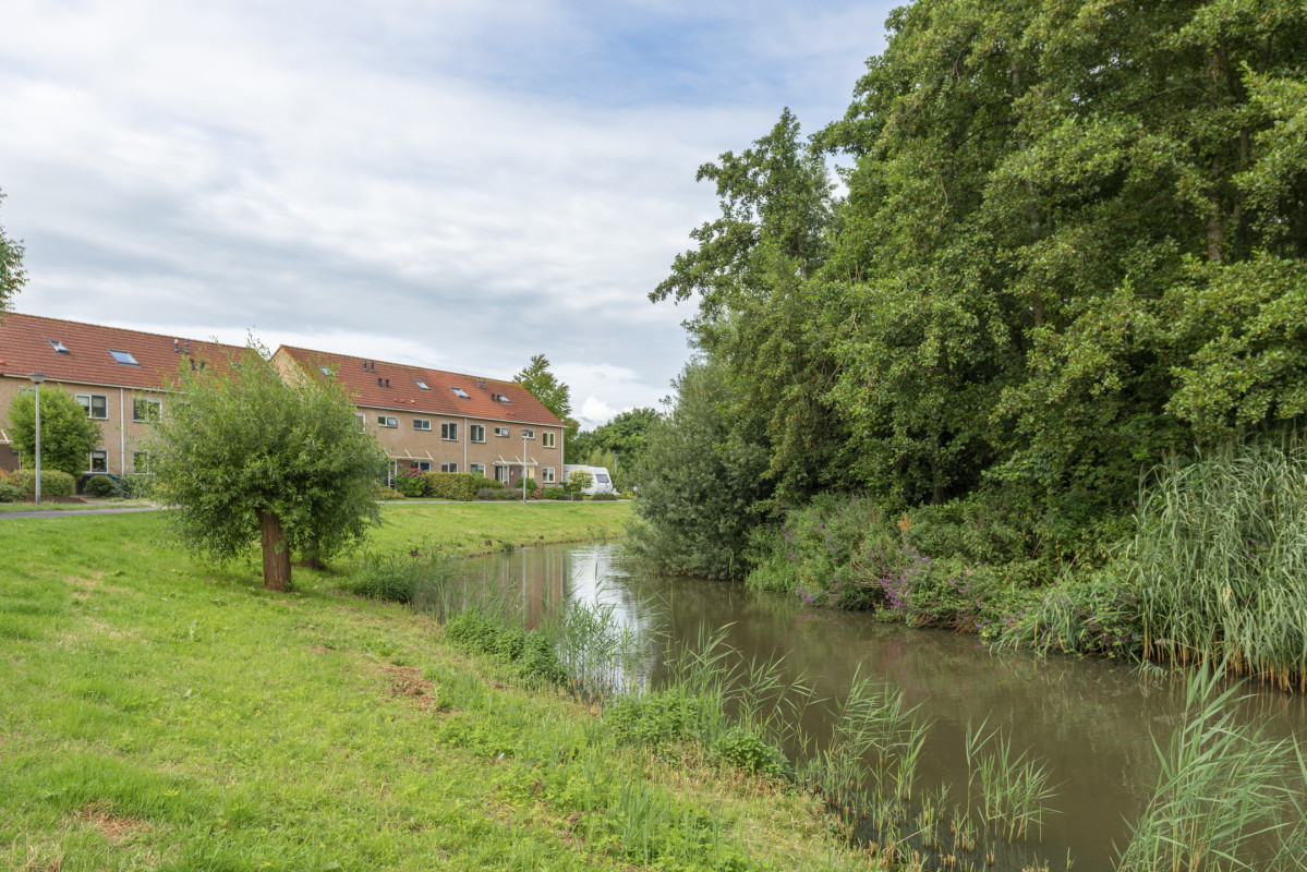 Boekweitakker 26 (afbeelding 42)