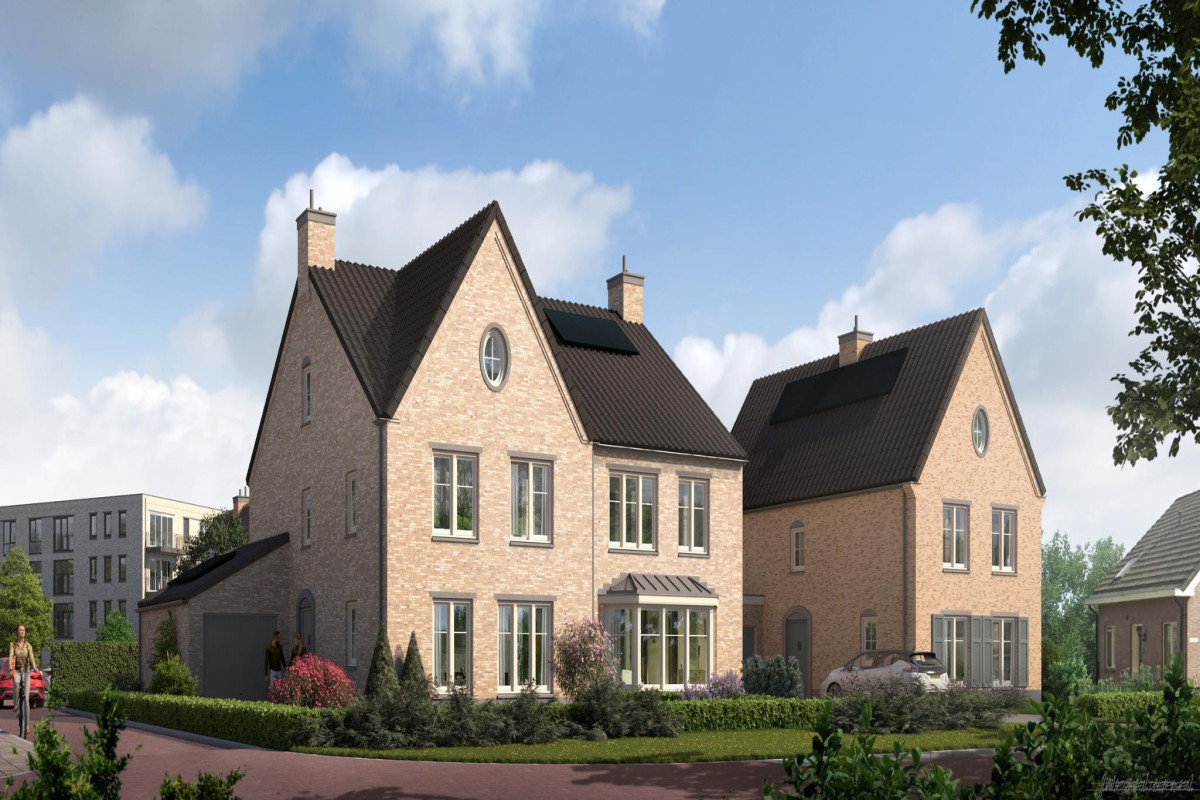 Valkse Weide (afbeelding 2)