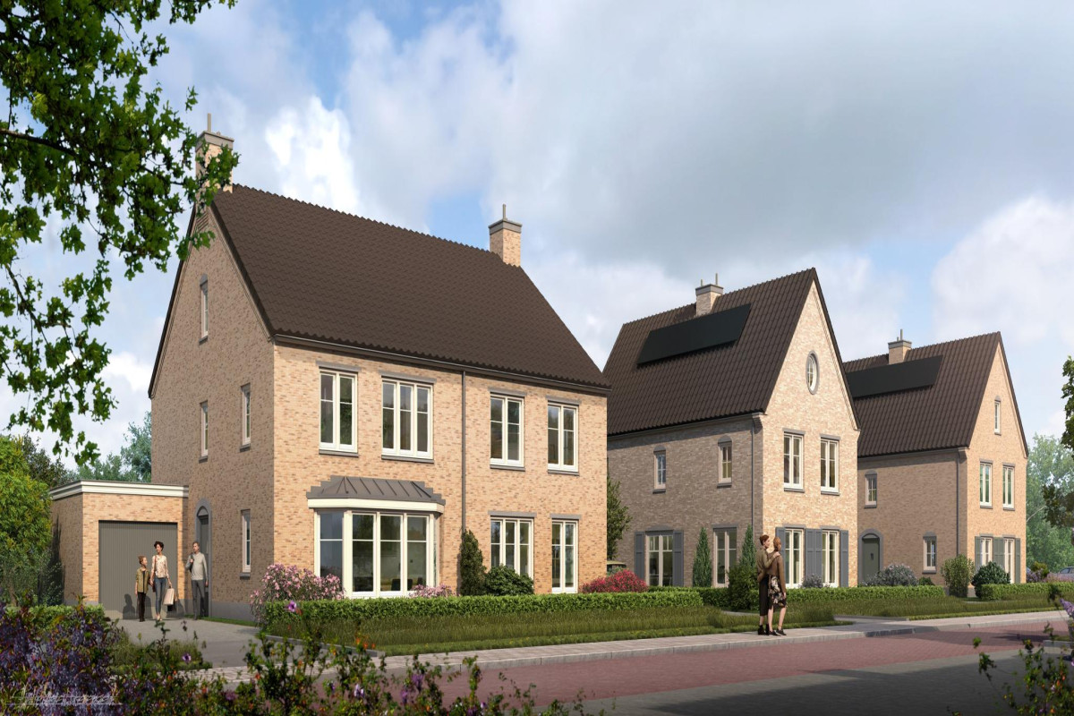 Valkse Weide (afbeelding 4)