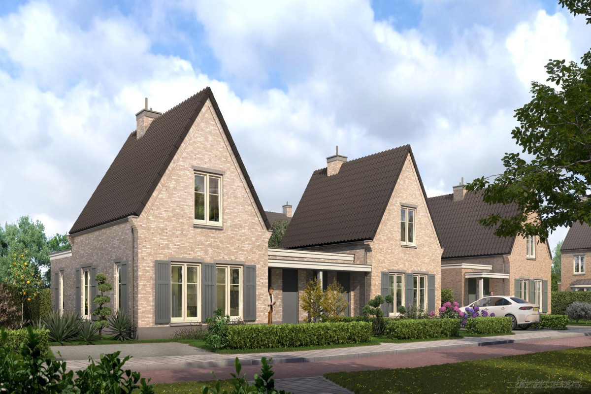 Valkse Weide (afbeelding 8)