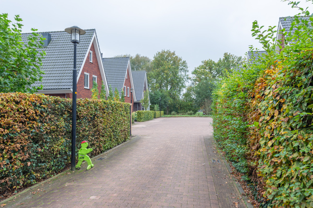 Wetsteenhof 5 (afbeelding 46)