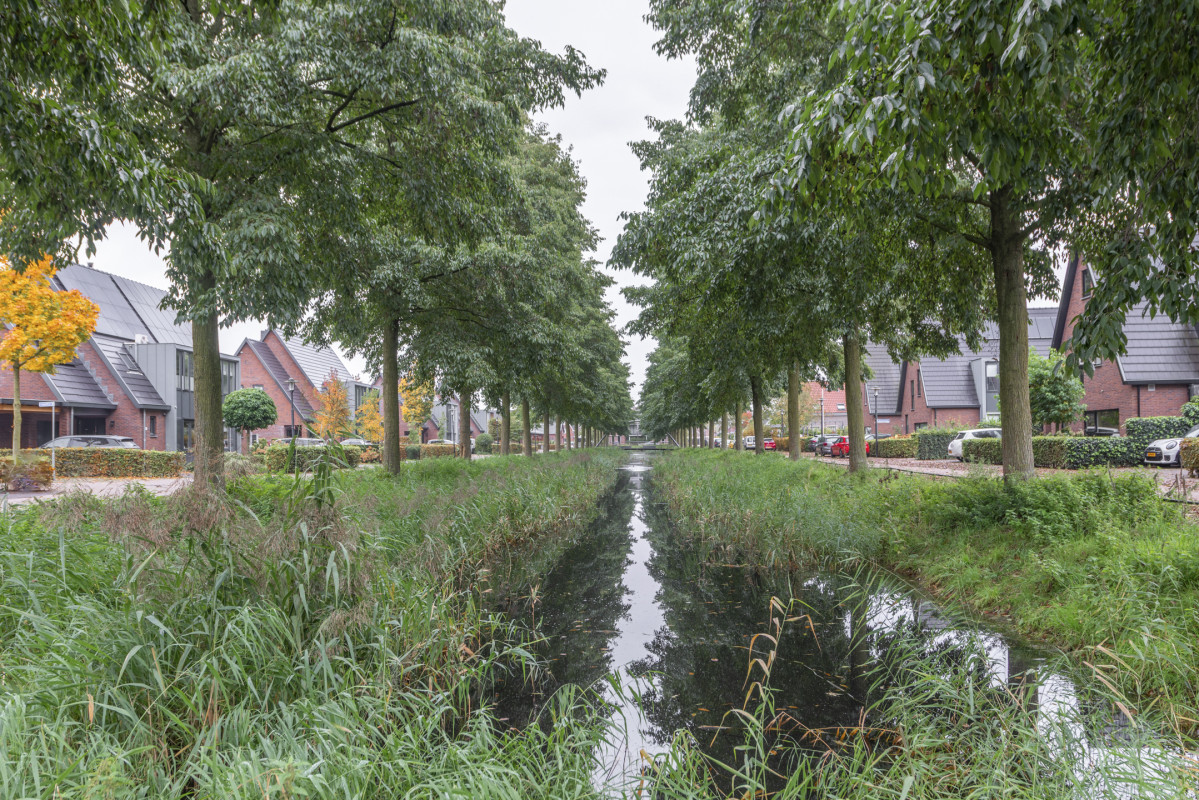 Wetsteenhof 5 (afbeelding 48)