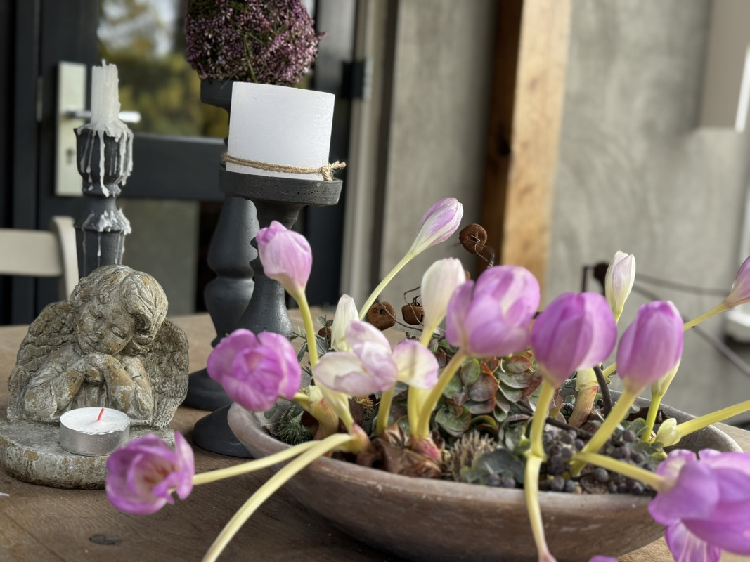 Kortelaan 1 (afbeelding 40)