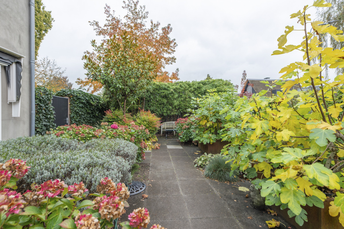 Kortelaan 1 (afbeelding 41)