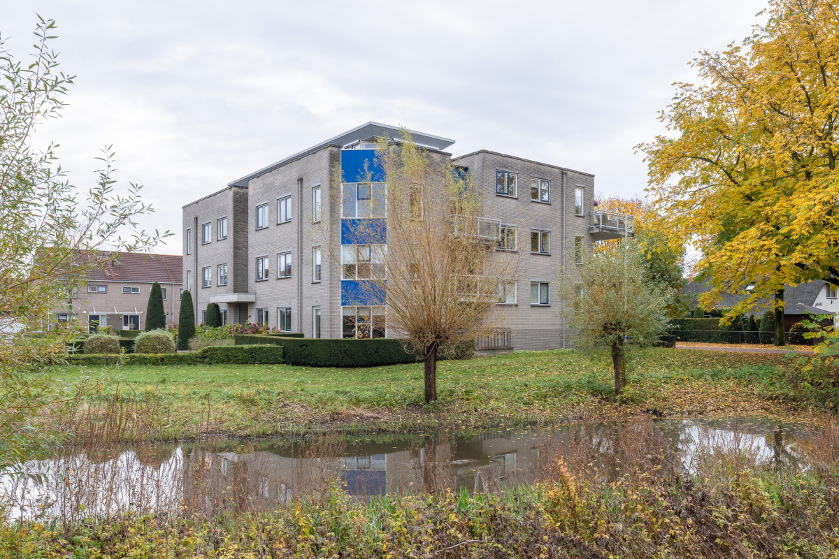 Tarweakker 26 (afbeelding 1)