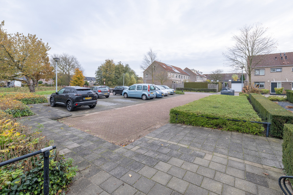 Tarweakker 26 (afbeelding 33)