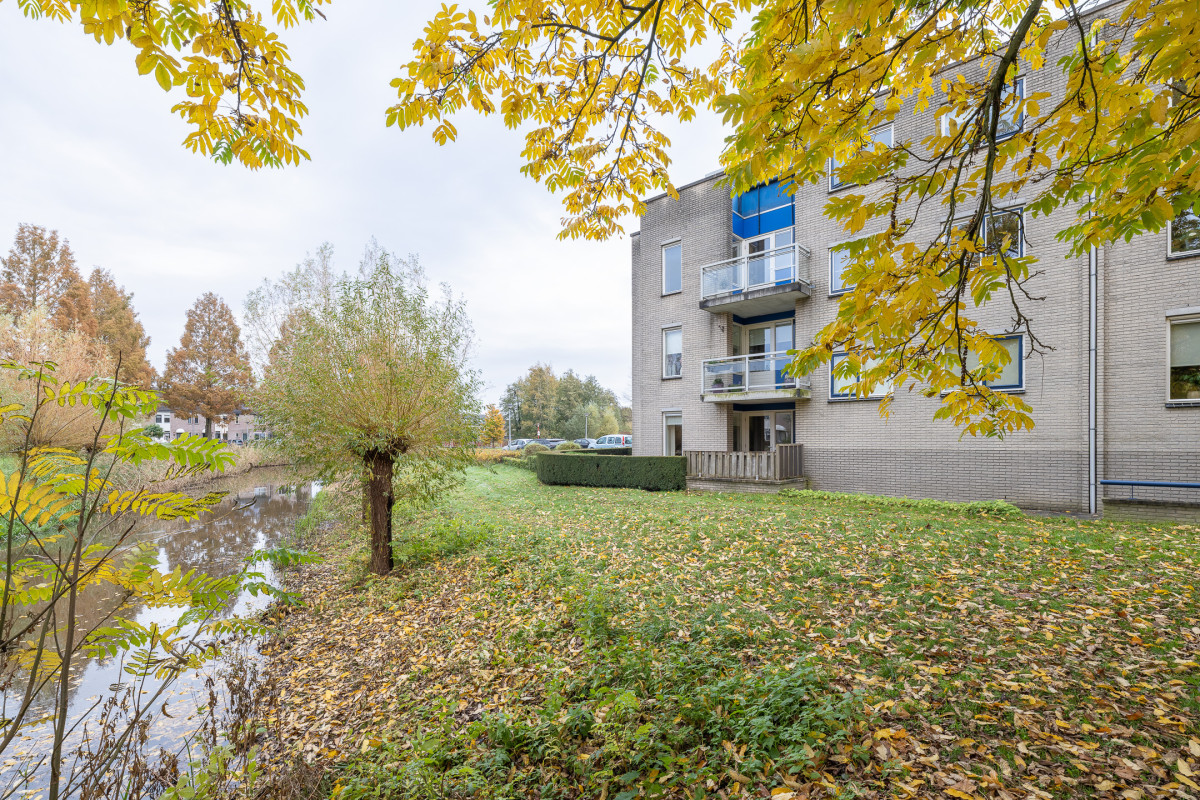 Tarweakker 26 (afbeelding 35)