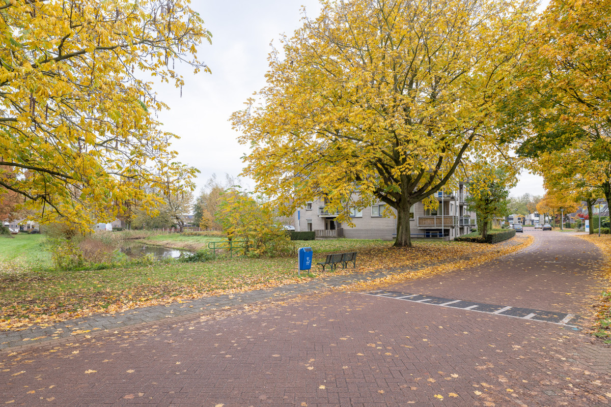 Tarweakker 26 (afbeelding 36)