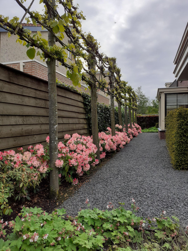 Wethouder van Hekezenlaan 13 (afbeelding 52)