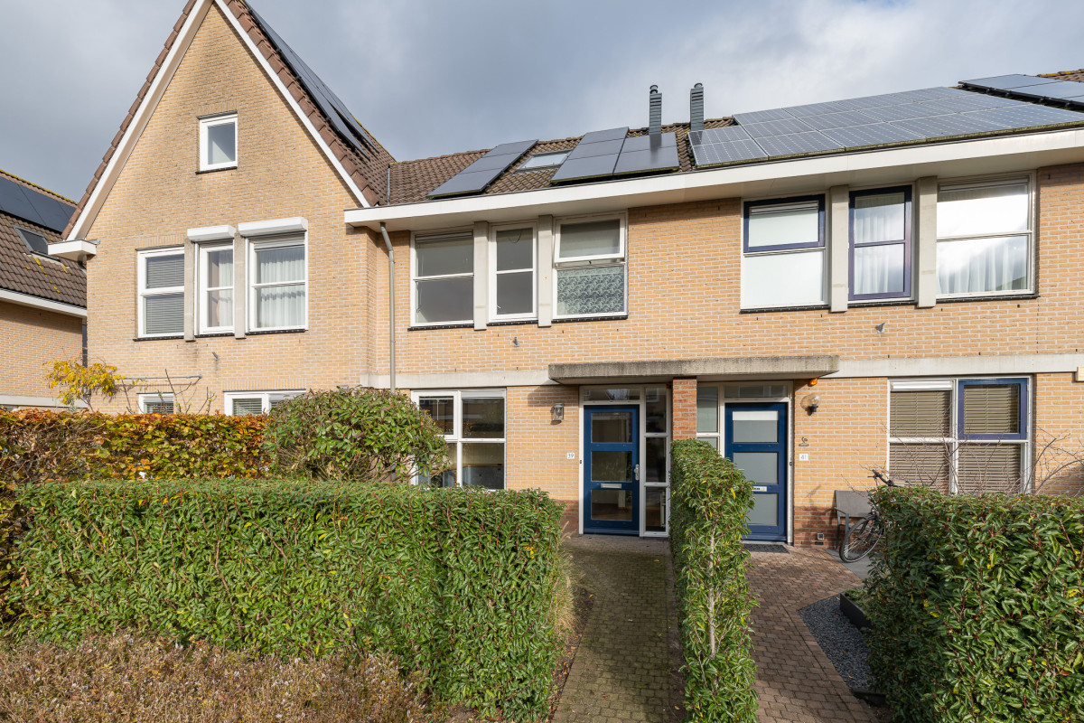 Zomertuin 39 (afbeelding 1)