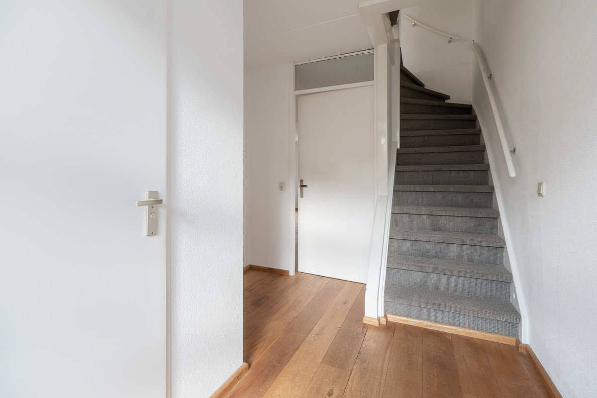 Zomertuin 39 (afbeelding 12)