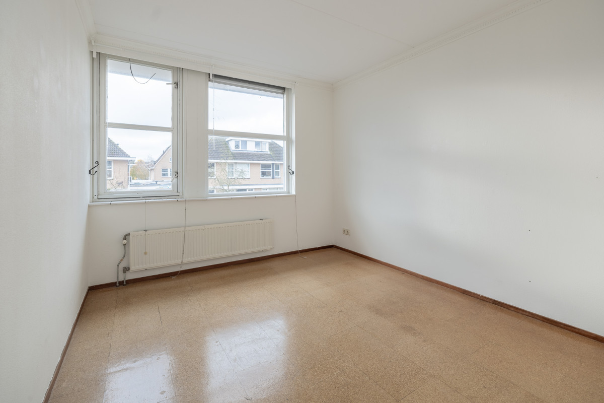 Zomertuin 39 (afbeelding 13)